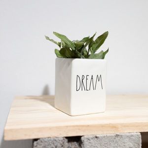 Rae Dunn DREAM pen/pencil holder